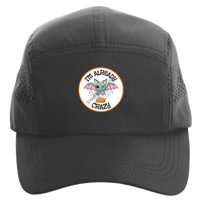 I'm Already Bat S**t Crazy Thumbnail